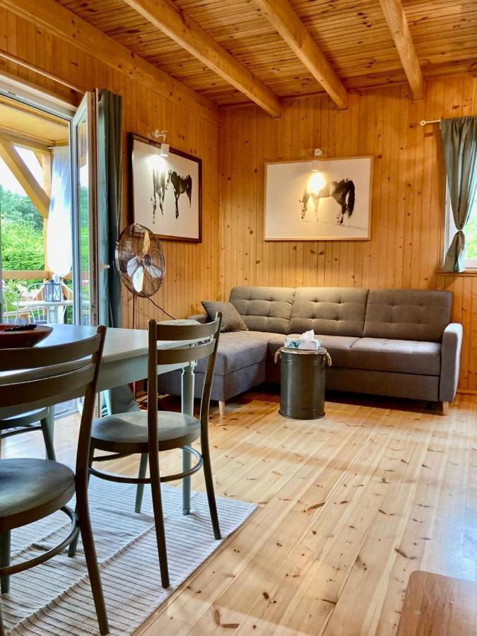 Oliwkowy Gaj Villa Sasino Kültér fotó